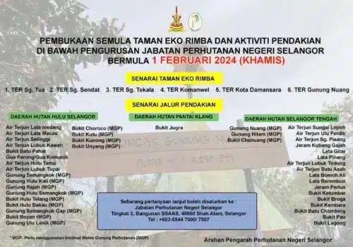 雪州6生态森林公园 下月重新开放.包括登山道