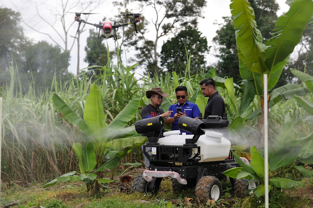 Bekas tentera majukan tanah terbiar, hasil tanaman cecah RM600,000