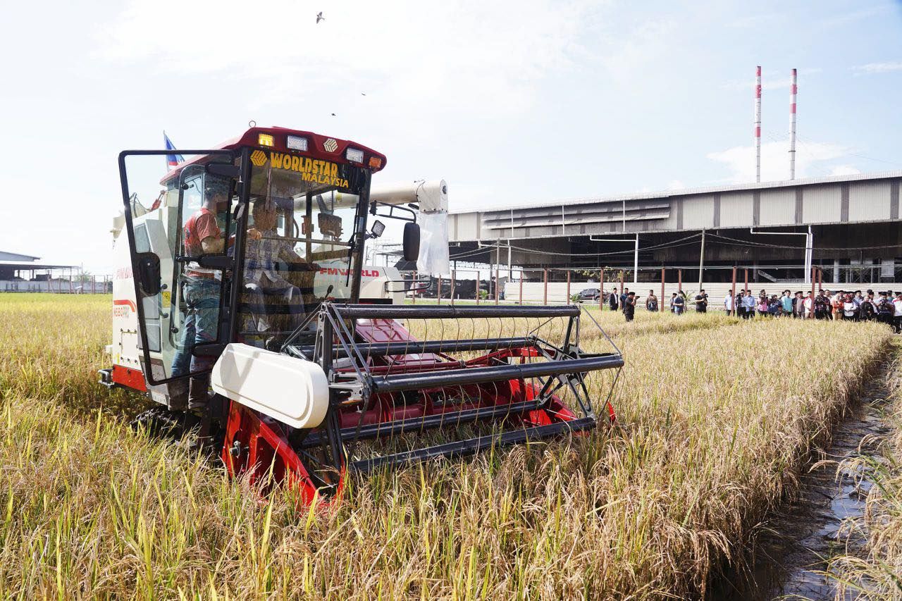 元首周五访适耕庄人民碾米厂  阿米鲁丁脸书发帖感谢陛下莅临