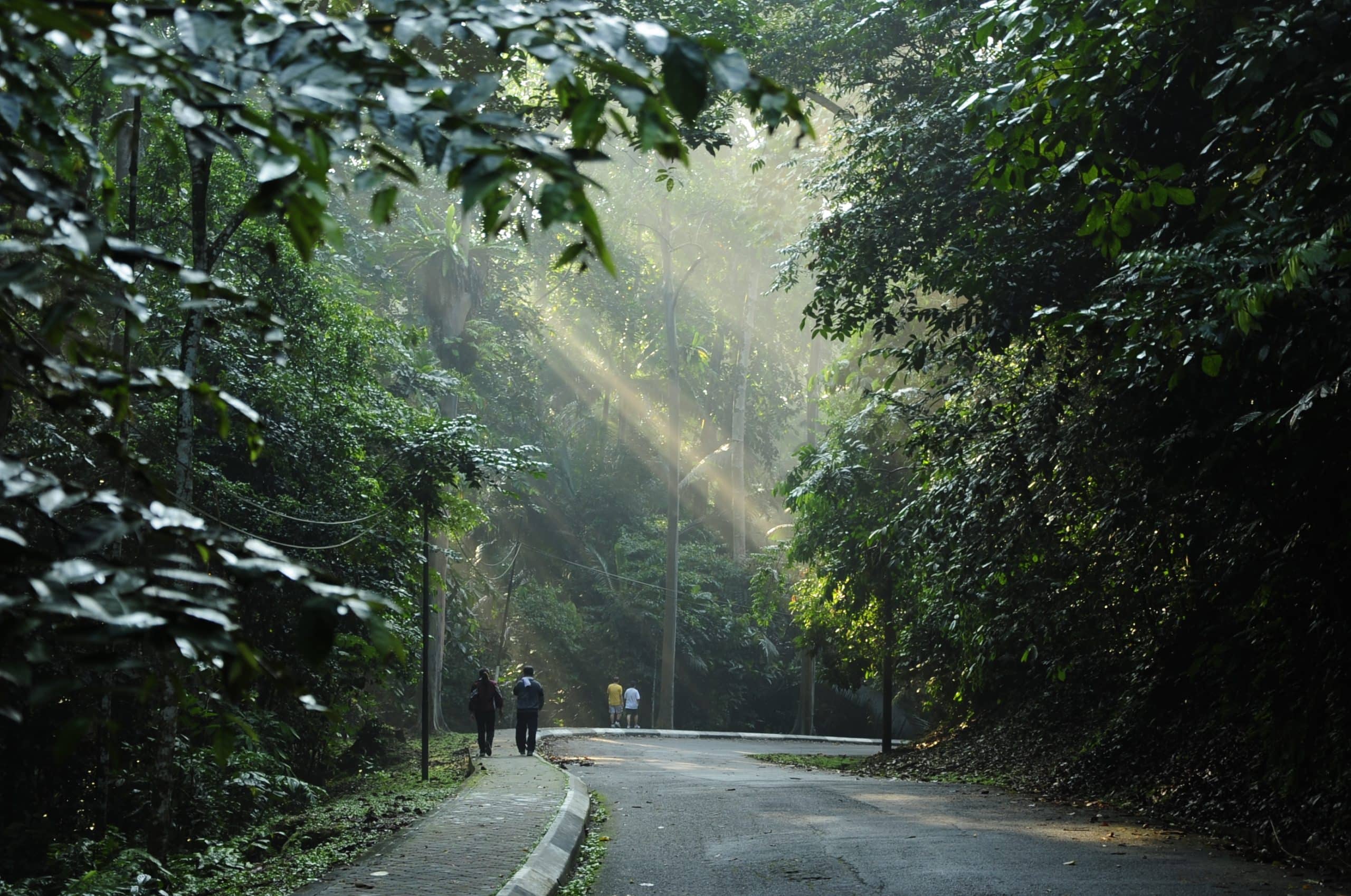 Tax hike essential to maintain state’s infrastructure — Exco