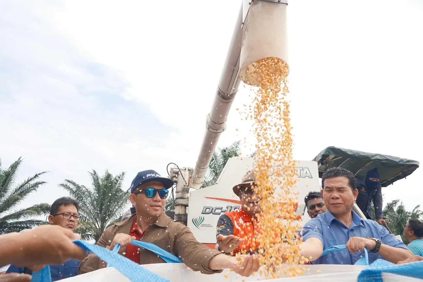 雪州次批优质玉米2月已收成   大臣：将设仓库降低进口