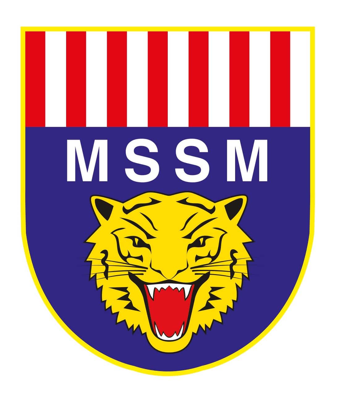 MSSM bags eight golds, six silvers in 2024 WA State Track, Field Championships