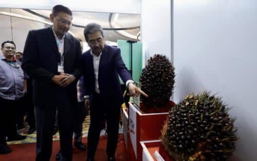 避免步上橡胶领域后尘   佐哈里：联土局角色吃重