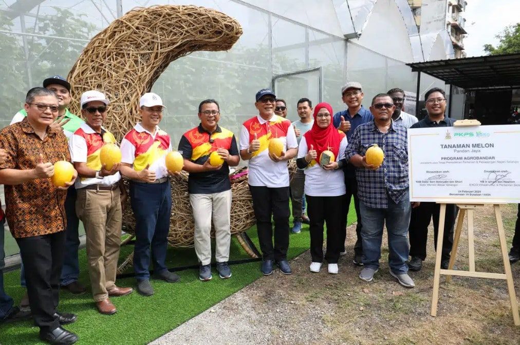 邀地主及社区菜园水培种蜜瓜  雪政府愿助培训增收入