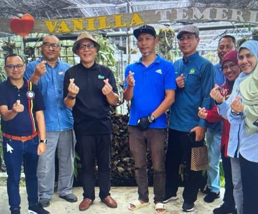 雪州拟种香草.利润可观