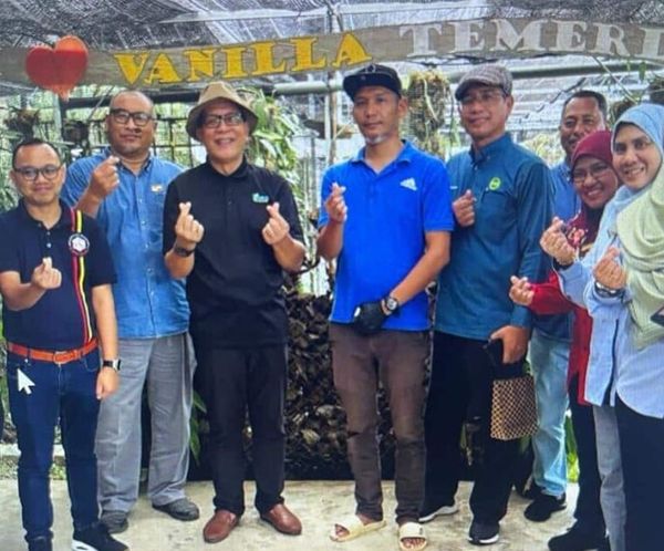 雪州拟种香草.利润可观