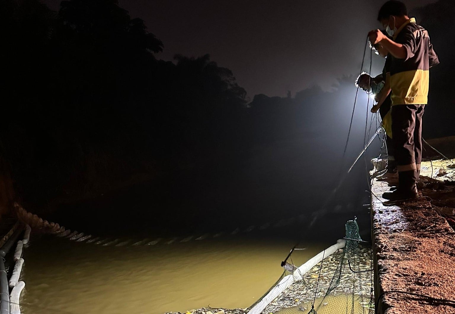 LUAS giat bersihkan 33 guni ikan mati, terus pantau elak Sungai Kundang tercemar