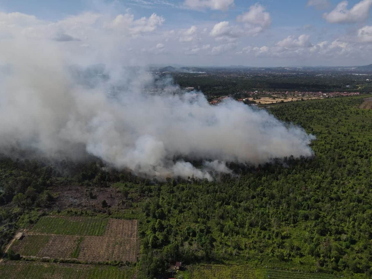 Cuaca panas, 30 hektar hutan tanah gambut di Kuantan terbakar