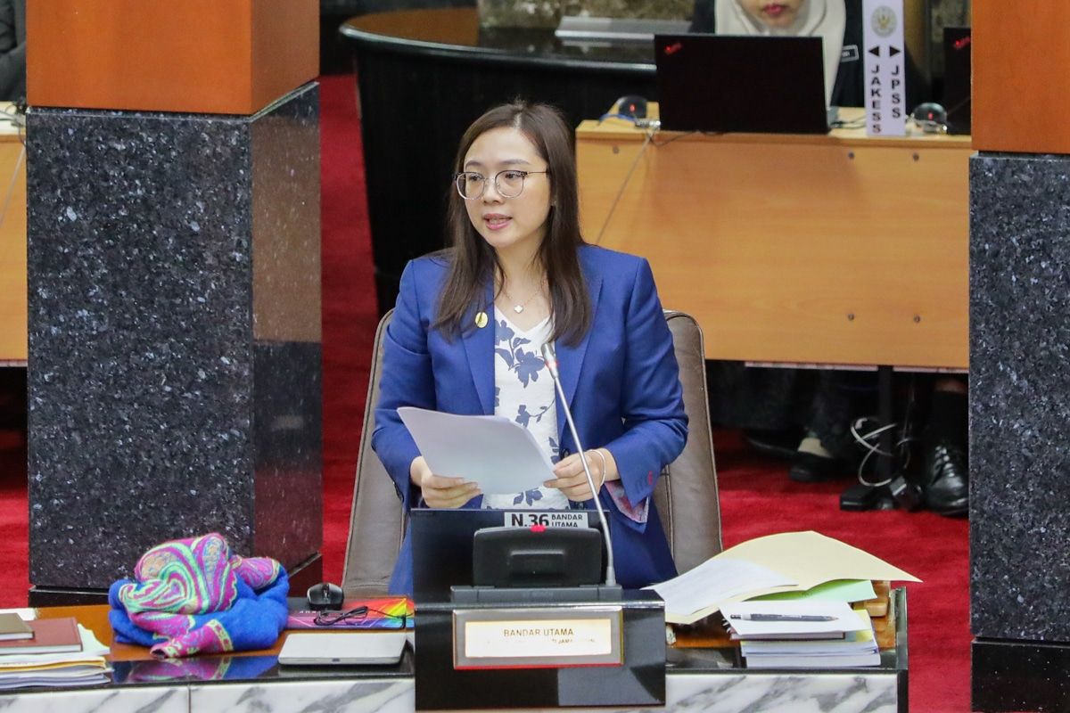 雪州积极植树修复受损林地