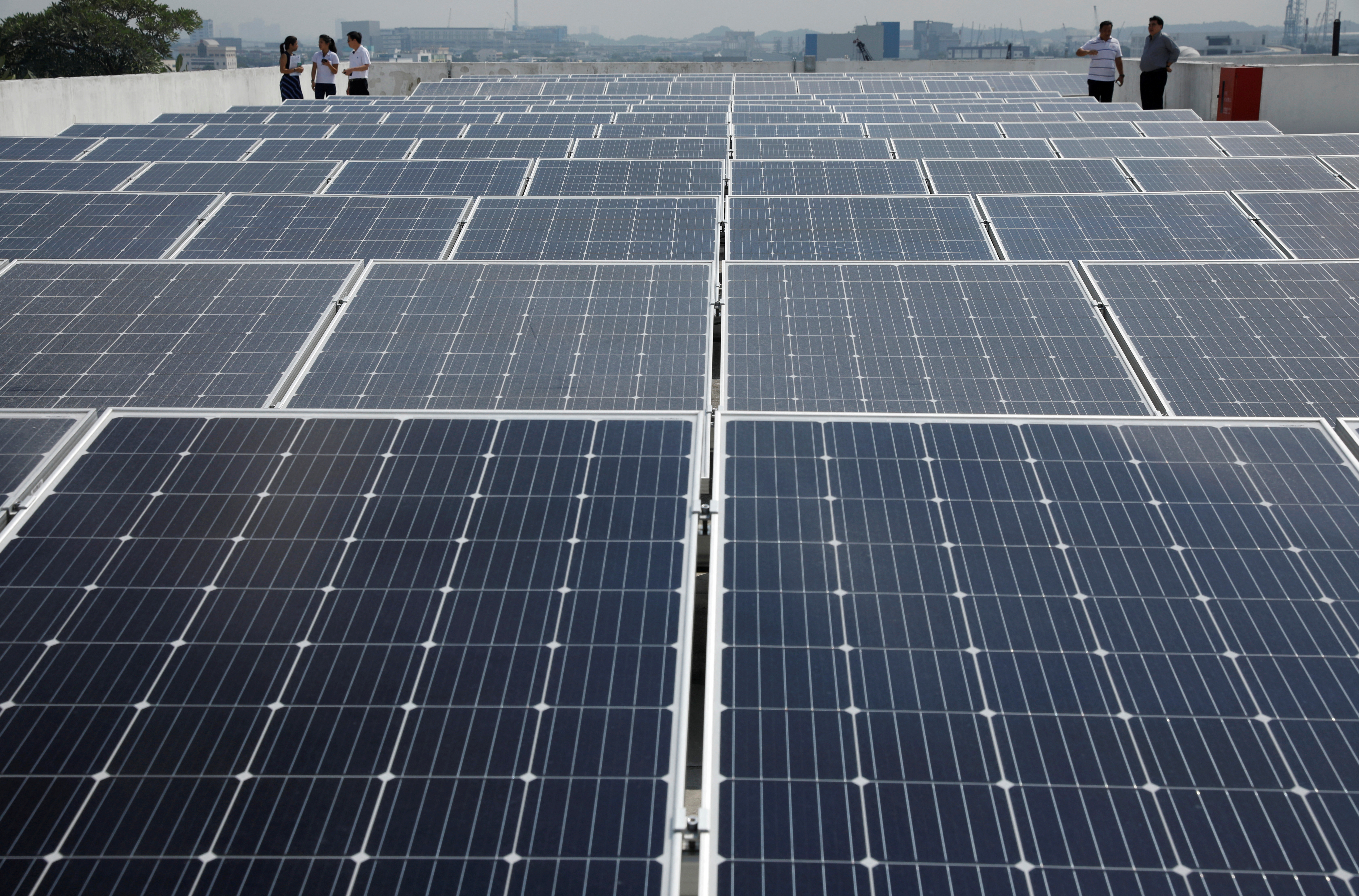 Chinese solar firms suspend some production in Southeast Asia after US tariff holiday expires