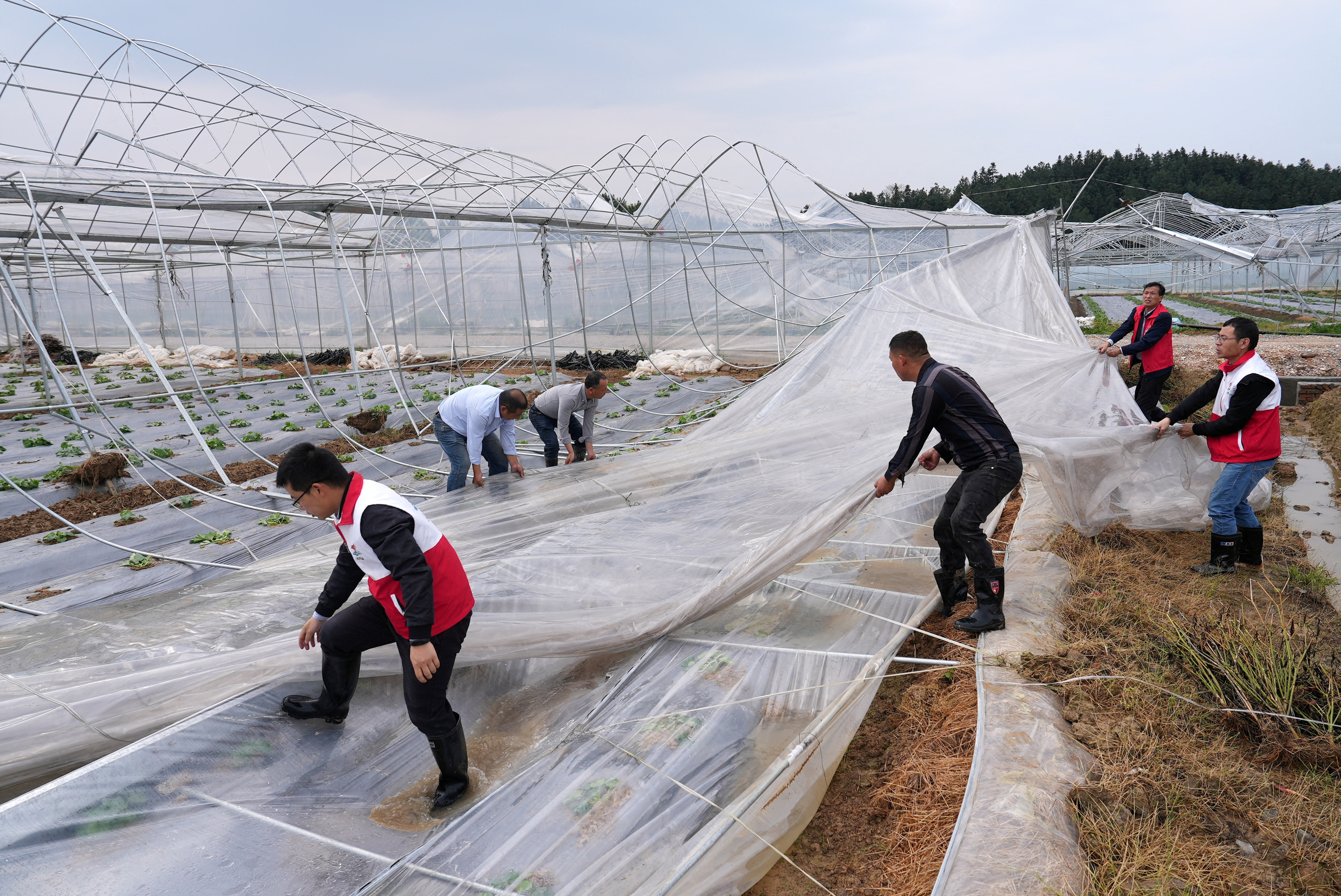 Seven killed as storms with typhoon-like winds ravage South China