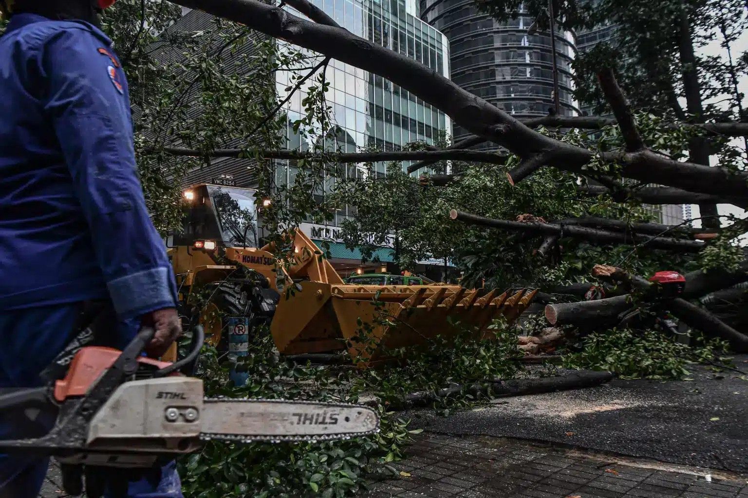 தலைநகரில் மரங்கள் விழுந்த சம்பவங்களில் 10 வாகனங்கள் சேதம்