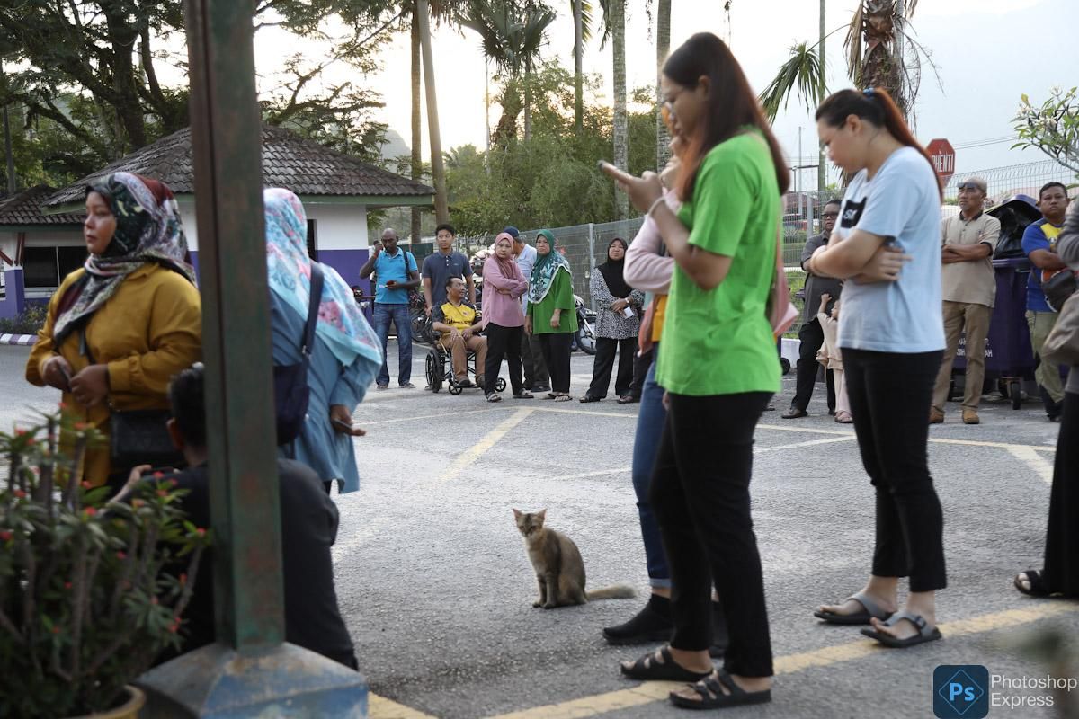 【新古毛补选】截至中午12时投票率32.51%