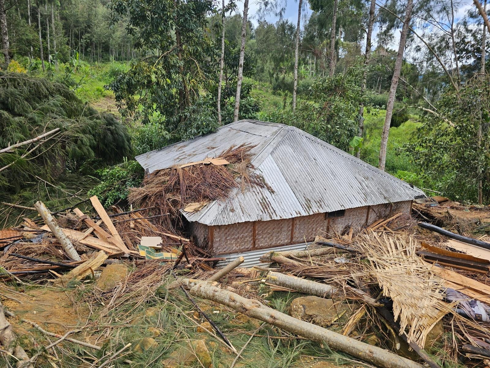 Massive landslide: Malaysia prepared to help Papua New Guinea, says Anwar