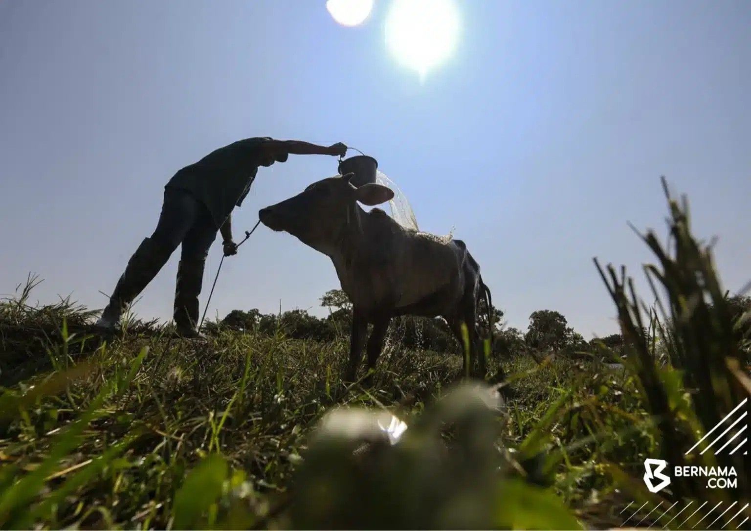 அடுத்த சில மாதங்களில் நாடு முழுவதும் வறண்ட நிலை ஏற்படும்