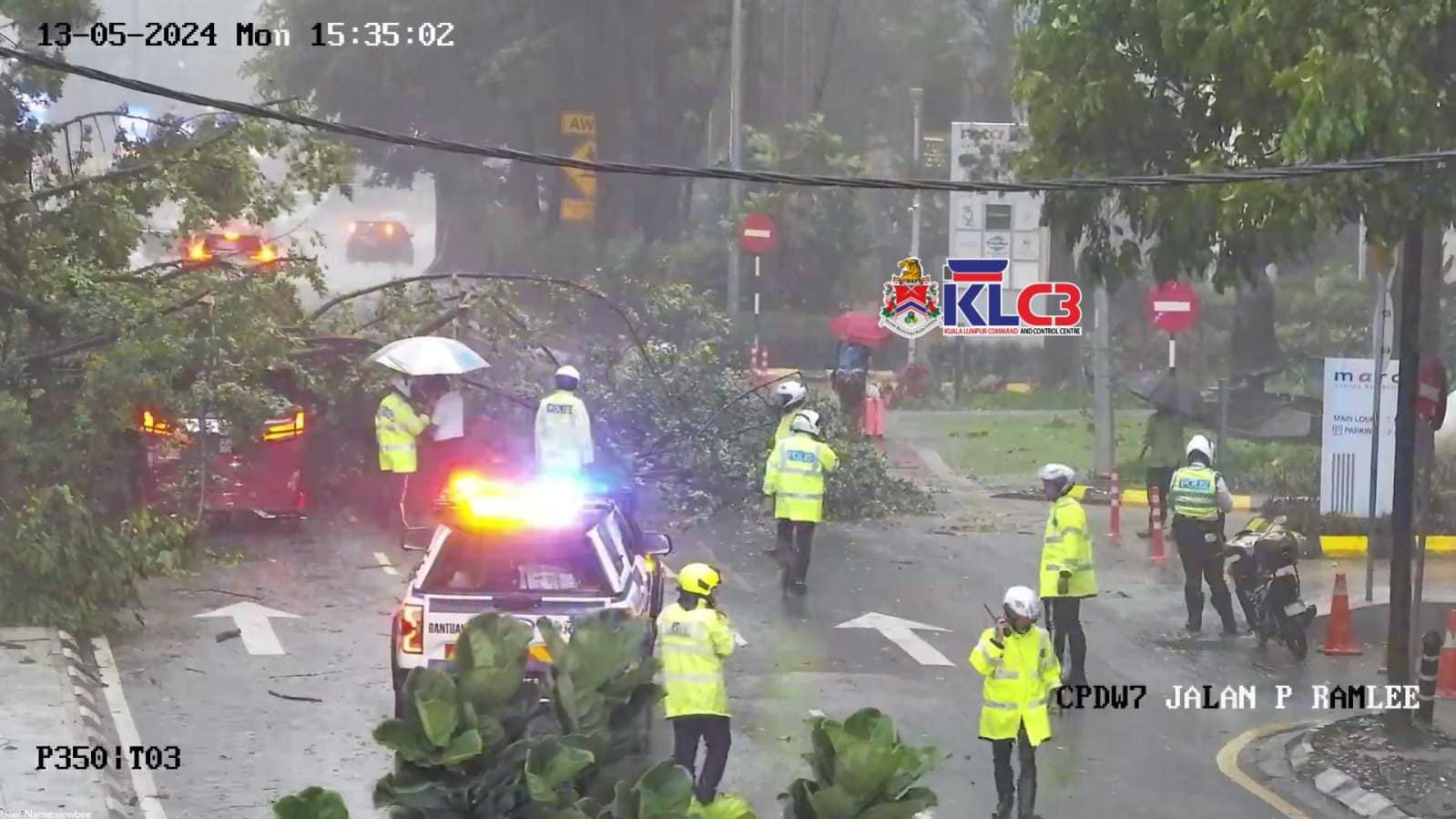 A week after fallen tree kills man, another one causes standstill traffic in KL