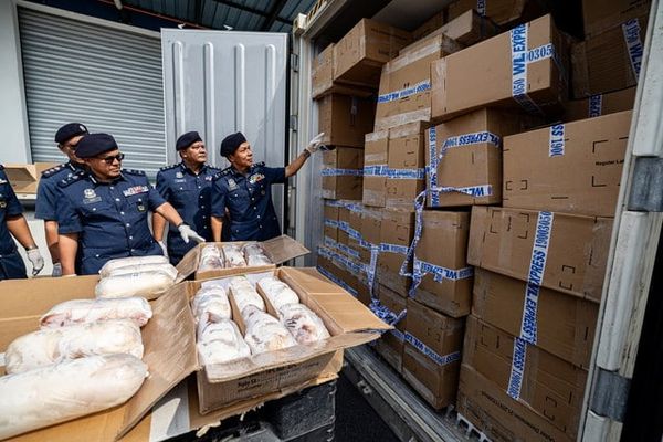 霹海关起获逾2万公斤冷冻乳猪 估计值104万472令吉