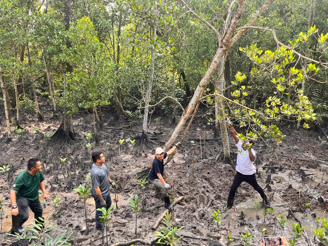 Putrajaya lauds Selangor’s forest conservation efforts, adopts similar approach