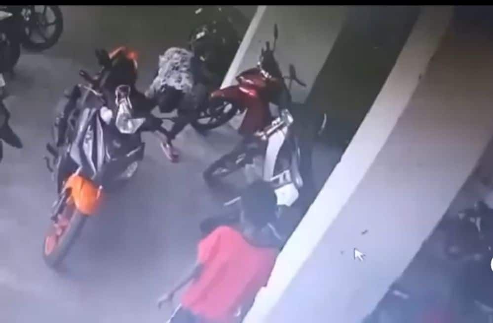 Jabatan Perkhidmatan Veterinar Selangor buka kertas siasatan kes bakar kucing