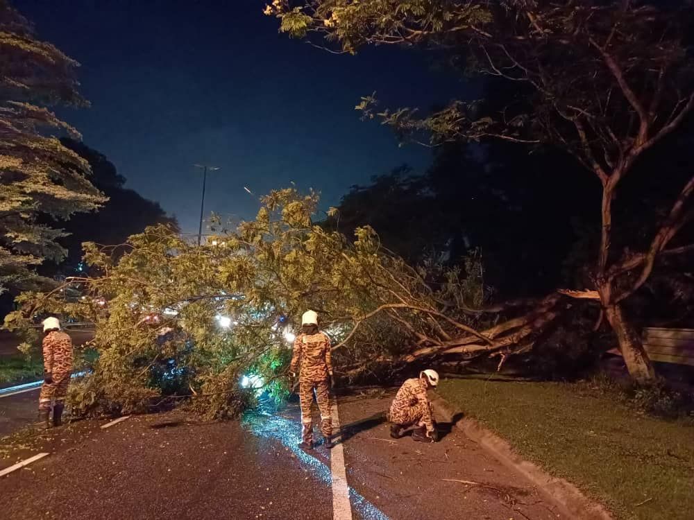 再一宗树倒砸伤人　男骑士脸部受伤