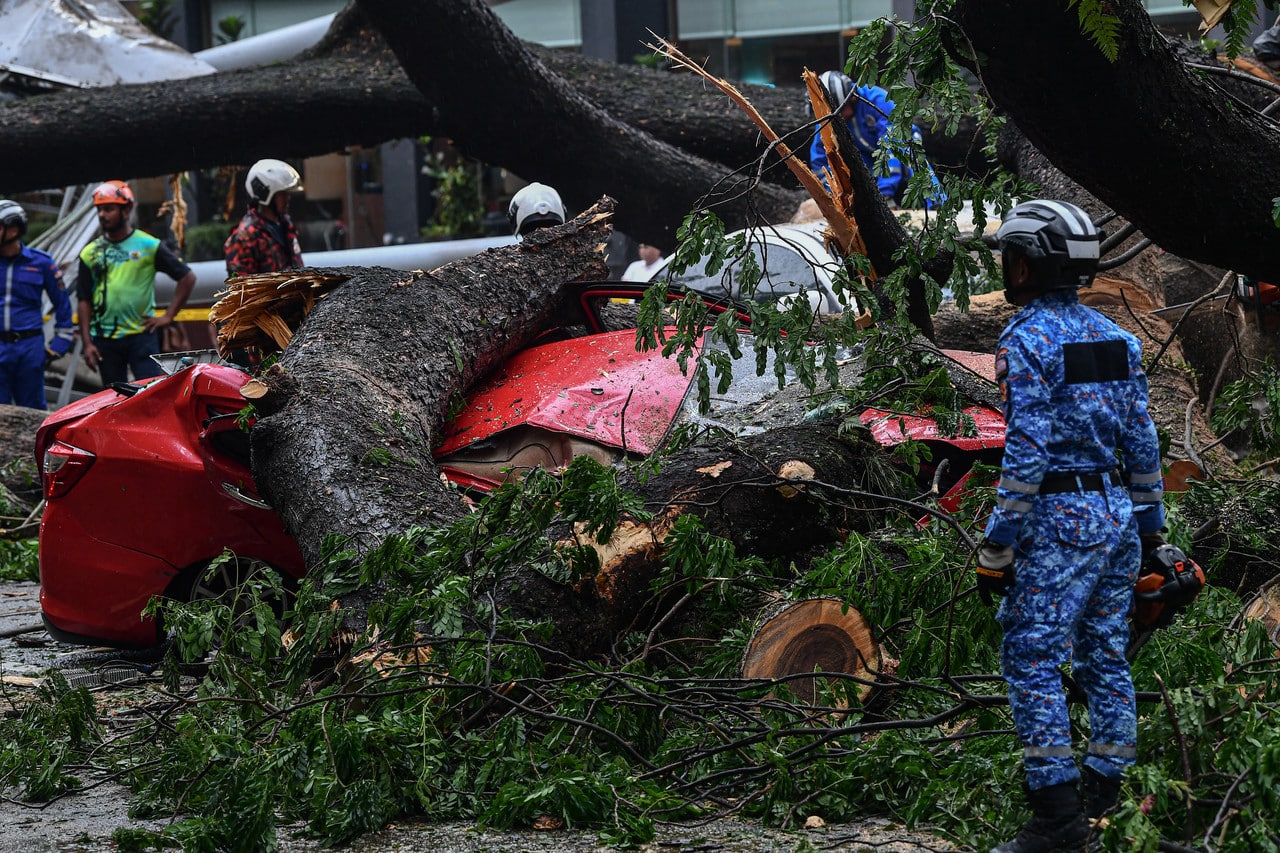 Pokok tumbang: Warga Sweden masih dirawat, lelaki dibenar keluar hospital