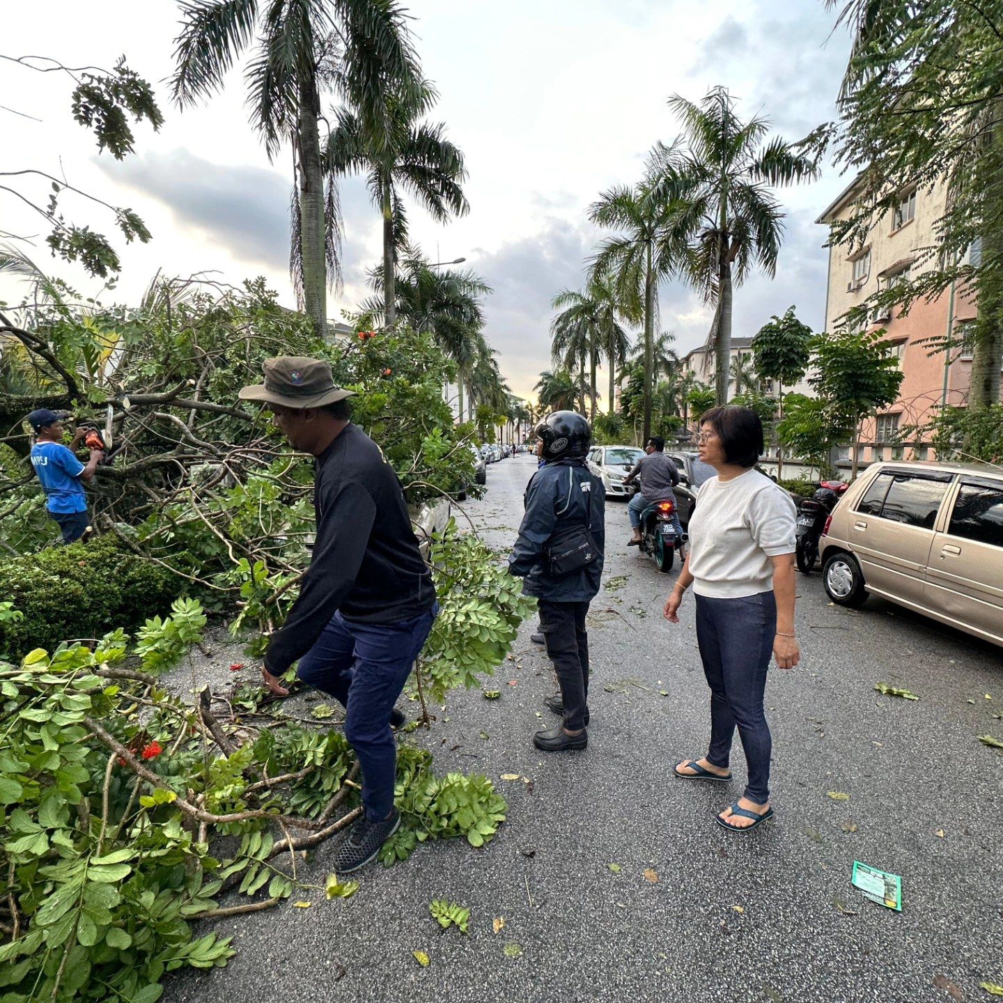金銮花园昨有树倒 砸坏在旁7车