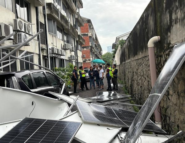 周六狂风豪雨吹倒大树 林怡威吁灾民拍照报警索赔