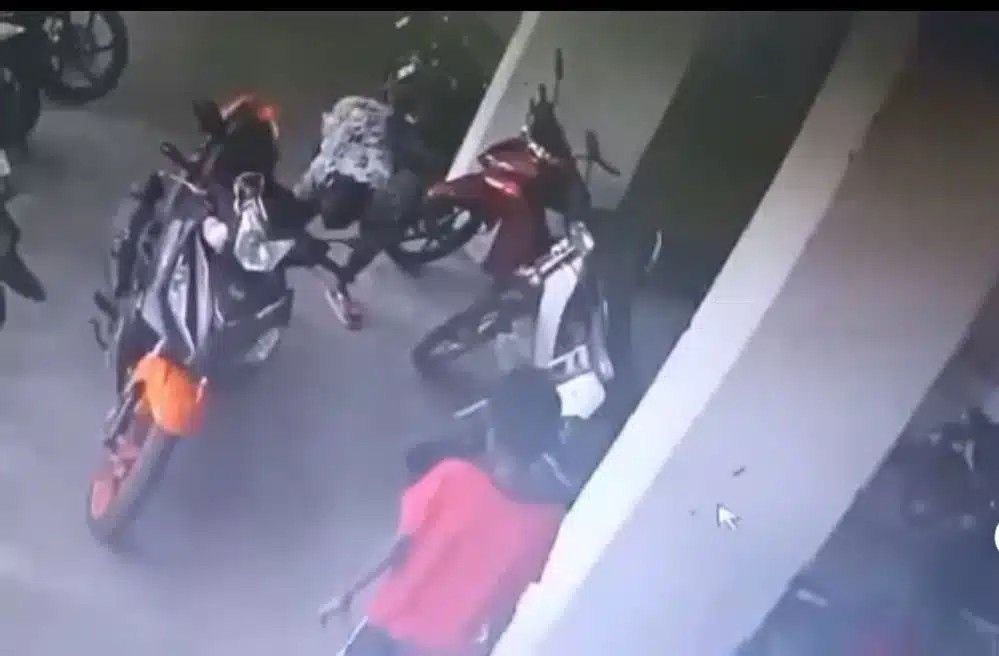 பூனை எரிக்கப்பட்ட வழக்கு தொடர்பான விசாரணை அறிக்கையை டிவிஎஸ் திறந்துள்ளது