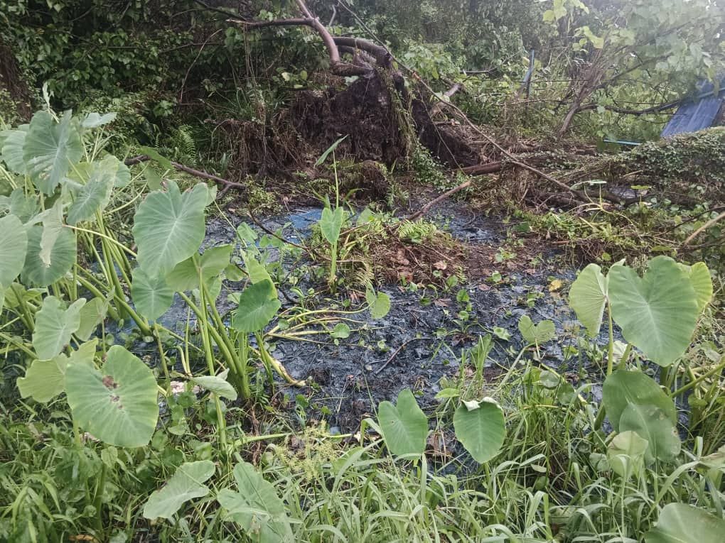 嘉玛丽雅：甘迪斯河水染蓝   疑无良者午夜丢弃避法眼