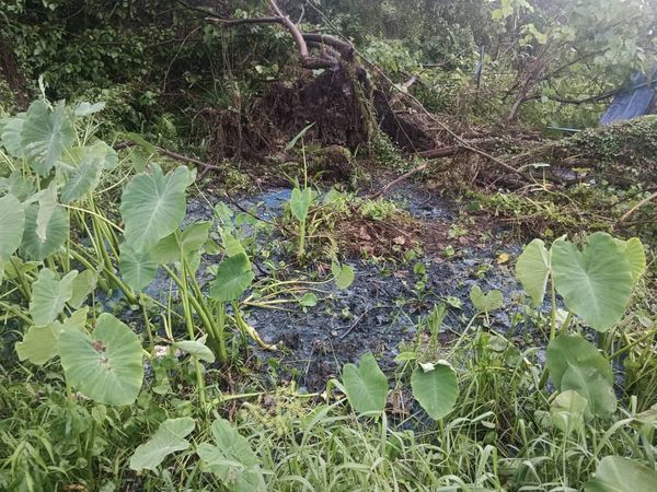 嘉玛丽雅:甘迪斯河水染蓝 疑无良者午夜丢弃避法眼