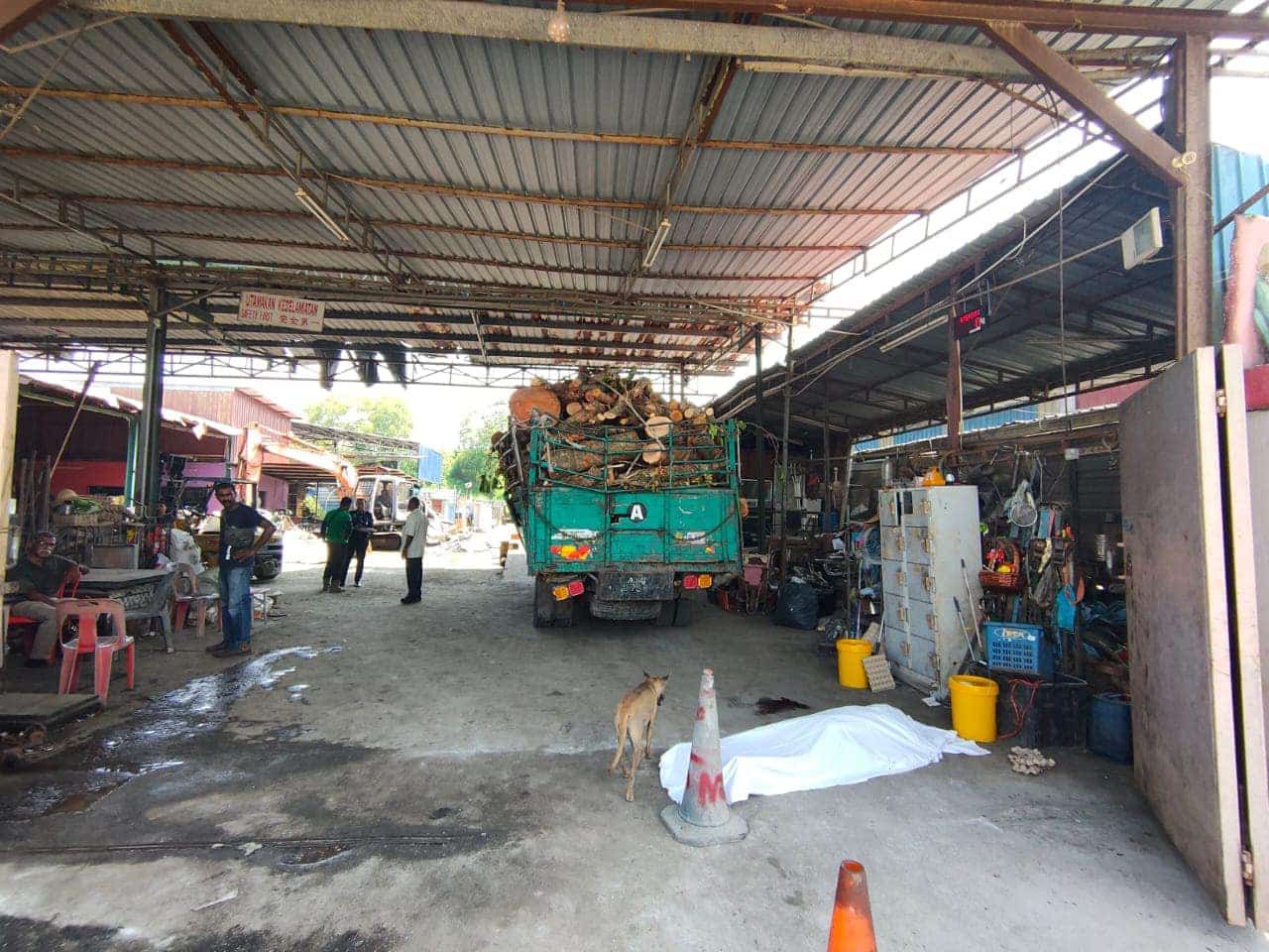 老翁步行被倒退罗里撞死 肇事司机有100张交通罚单