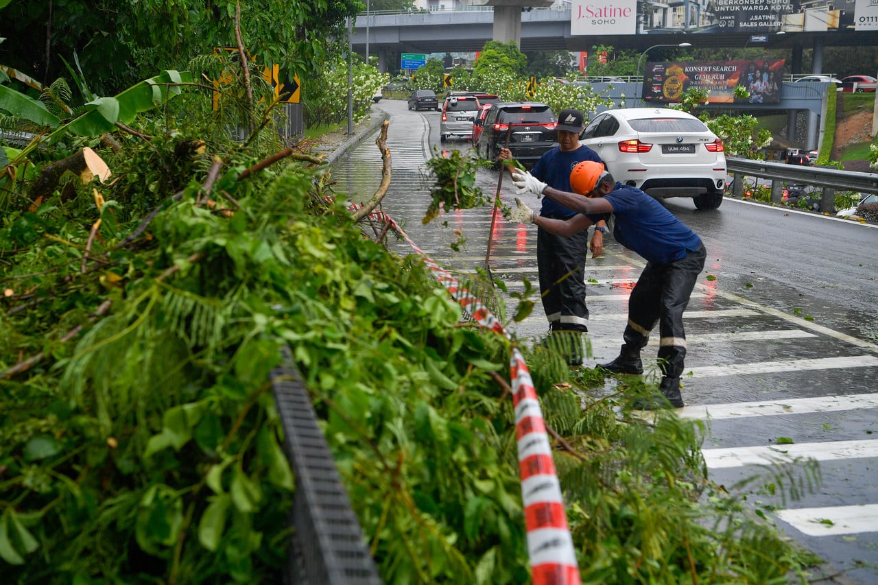 No one hurt, no vehicles damaged in recent toppled tree incidents around KL