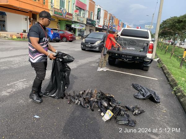 乌雪市会与射击队合作 射下1107乌鸦