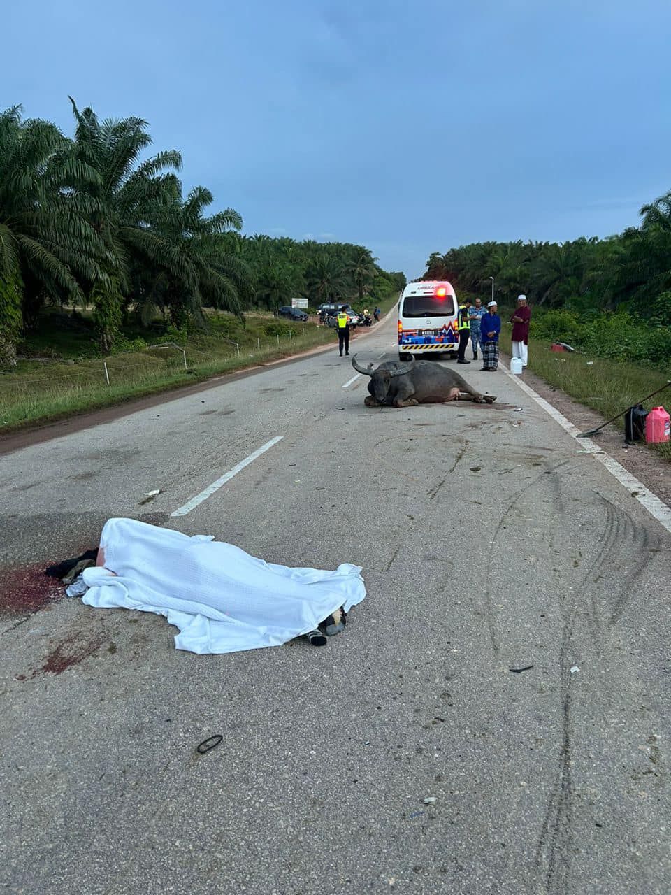 2男凌晨骑摩托车 不幸撞水牛一死一伤