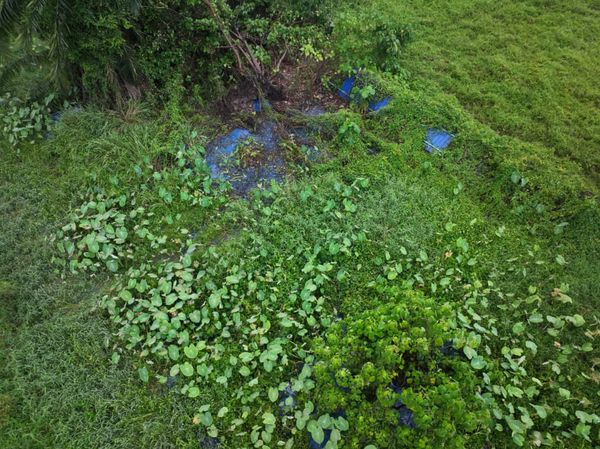 雪水务管理局彻查甘迪斯“蓝”河 疑工业区丢弃蓝色漆所致