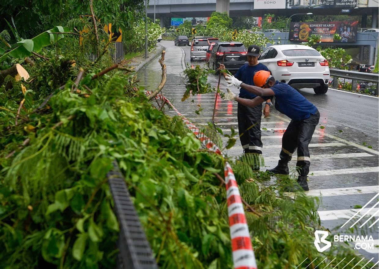 Bumbung rumah rosak akibat pokok tumbang, hujan lebat di ibu kota
