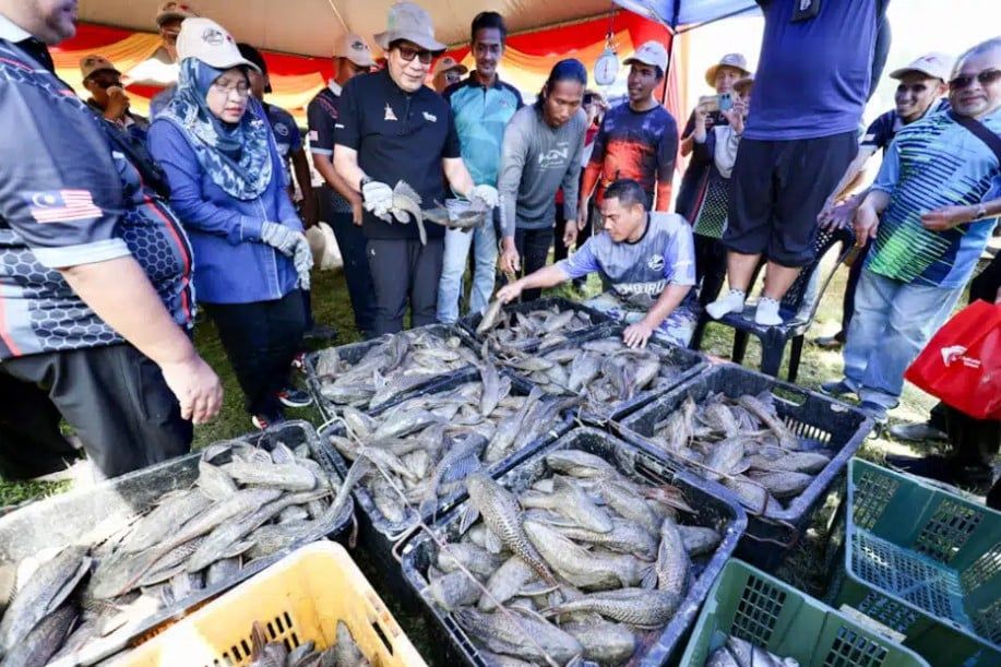 雪州新条例料今年内生效    禁释放入侵鱼类保护生态