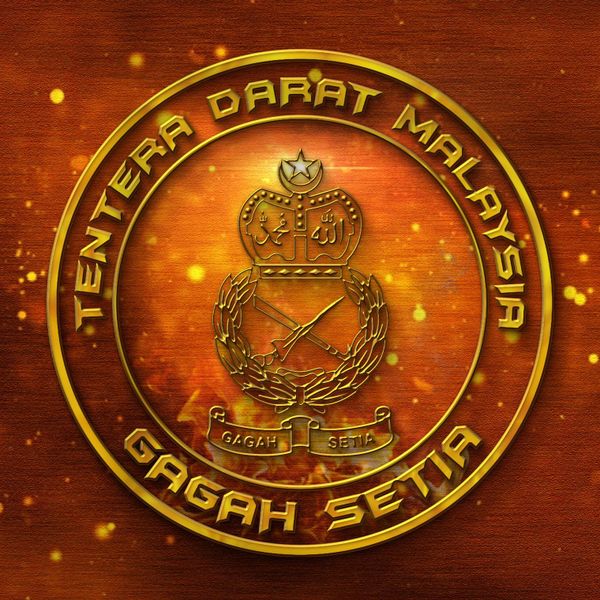 陆军直升机夜间训练紧急迫降 3军人受伤紧急送院