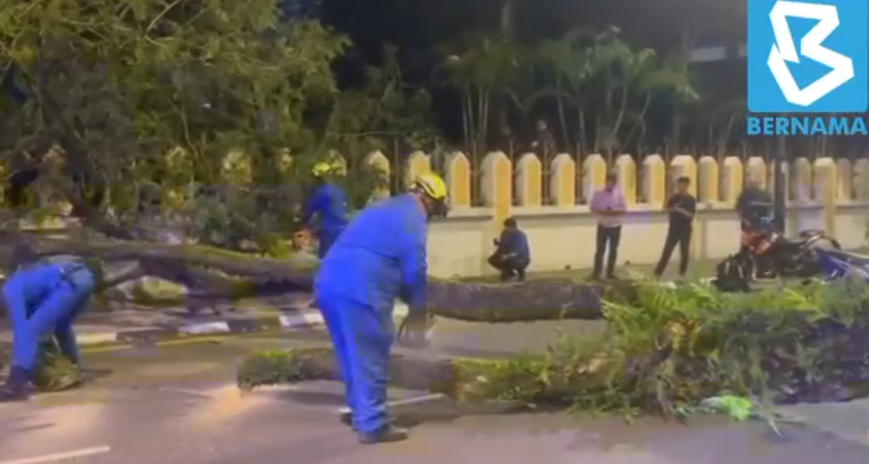 Cuaca baik, pokok tumbang halang laluan masuk ke Jalan Bernama
