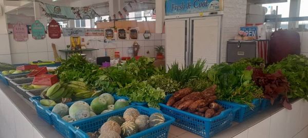 Jual sayur organik di TikTok, peserta U-PLATS tingkat pendapatan 50 peratus