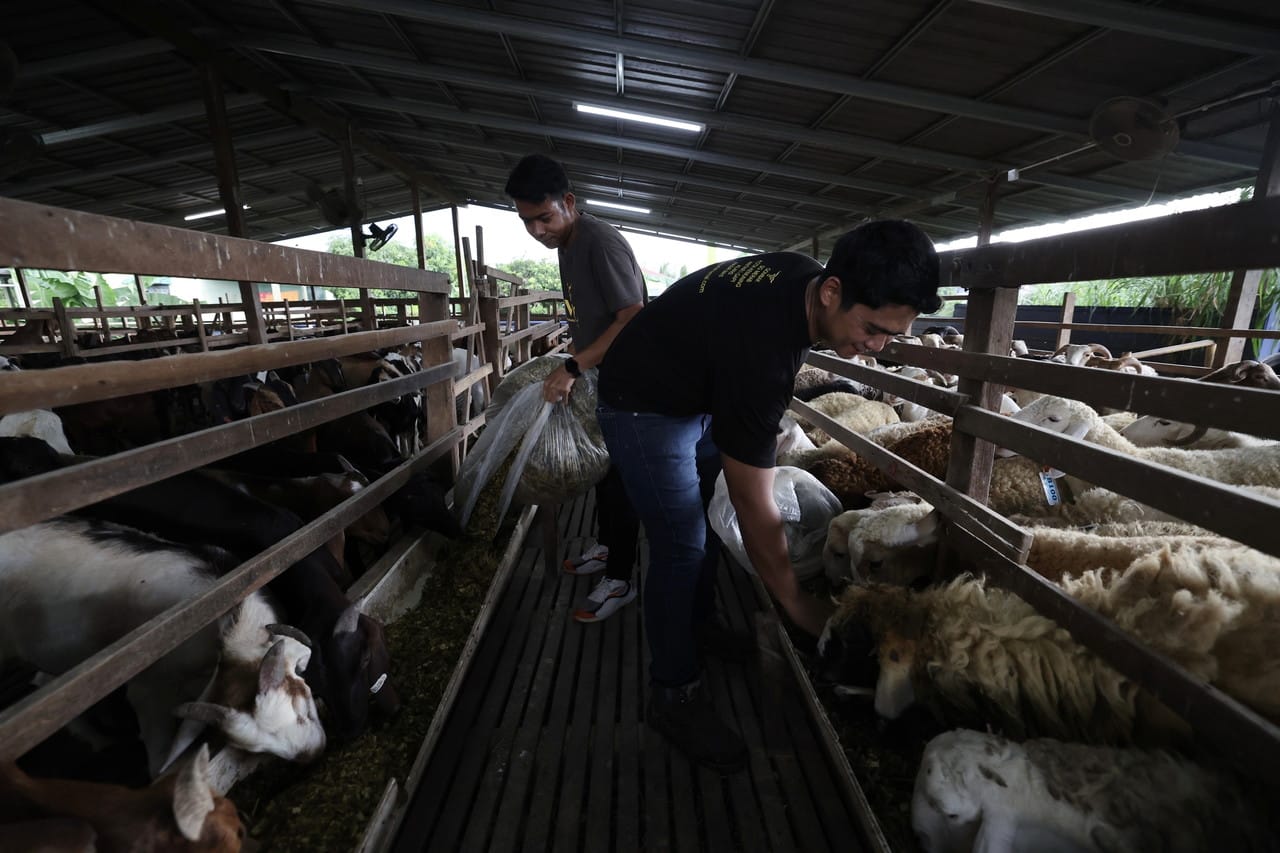 815 peserta terima kelulusan Geran Agropreneur Muda