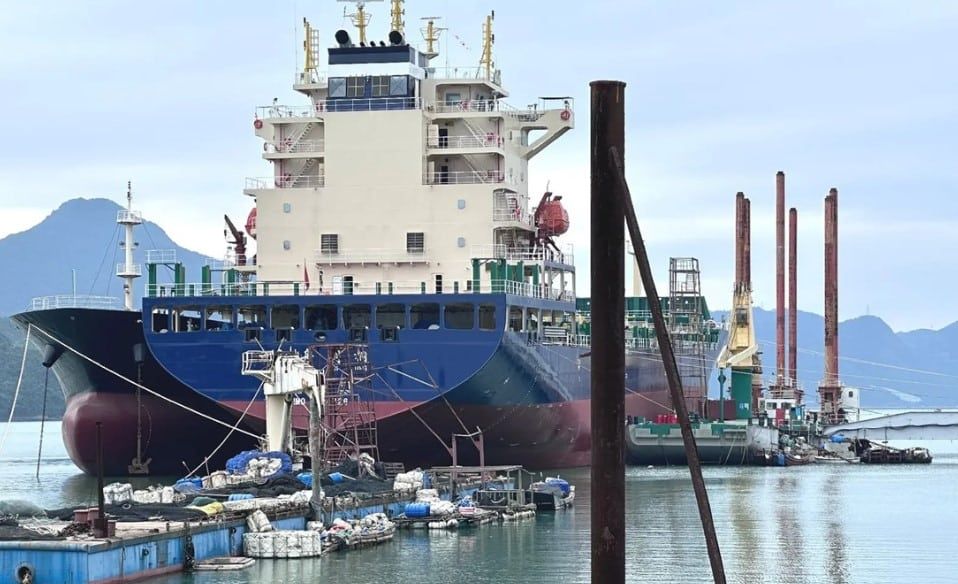 加强海运业能促进经济增长 陆兆福：须高效配送必需品