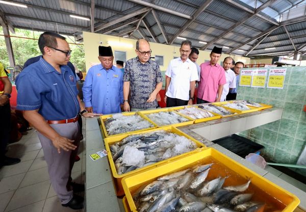 雪农产品拍卖中心将设320库存单位 KoHijrah经理:分为8大类别