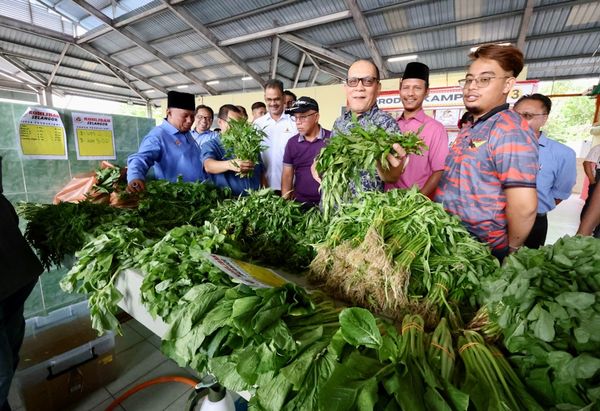 雪农产品拍卖中心下月启用 依兹汉:蔬果鱼肉应有尽有