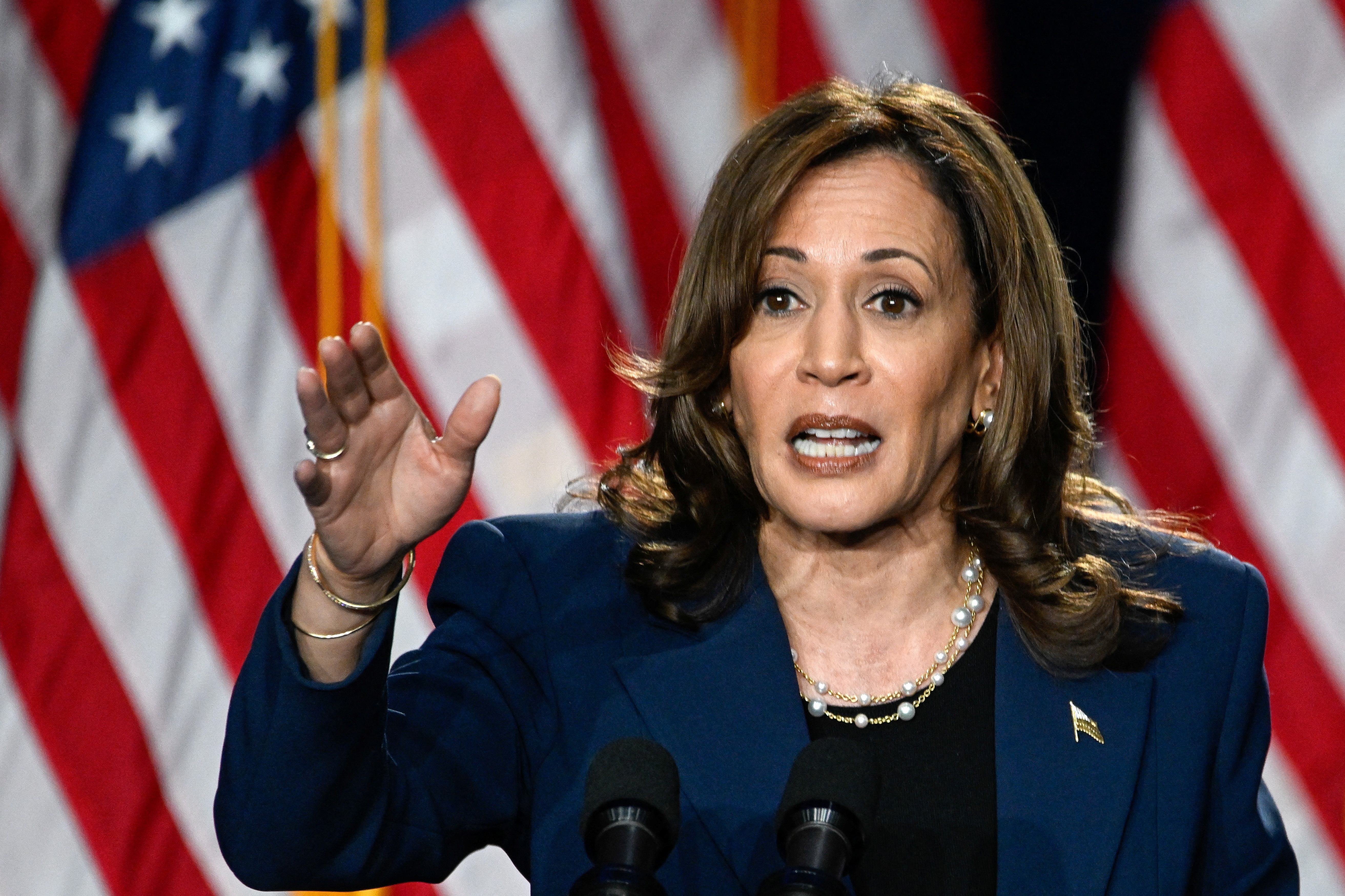 ‘I will not be silent’, vows Kamala Harris on Gaza suffering