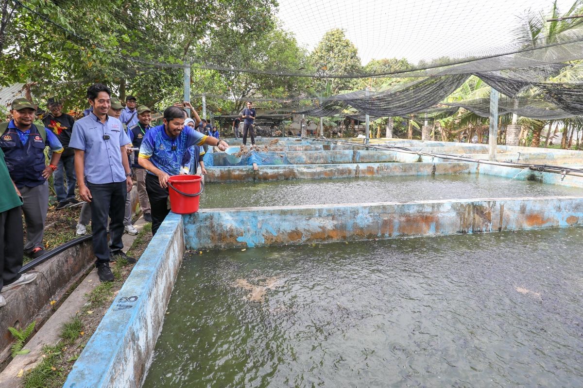 全国农业普查：雪州逾万人务农