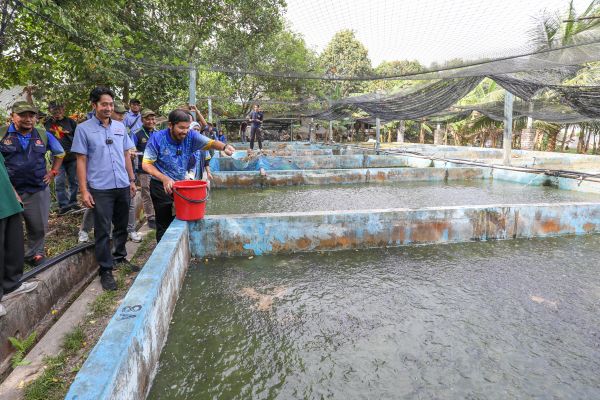 全国农业普查:雪州逾万人务农