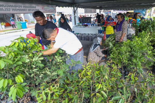 雪州鼓励组屋管理机构及居协 列耕种为社区活动绿化环境