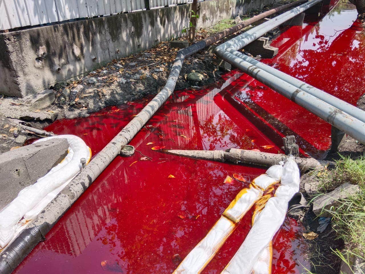 Luas opens probe into Port Klang oil spill
