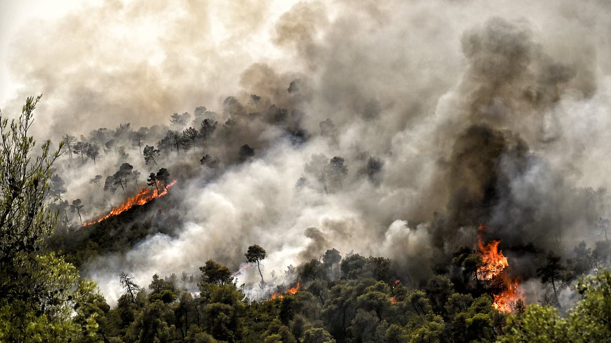 Persistent heatwave sees raging wildfires across Southern Europe 